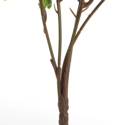 Native Yellow Pincushion Protea Flower Spray Christmas Flowers|