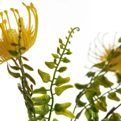Native Yellow Pincushion Protea Flower Spray Christmas Flowers|