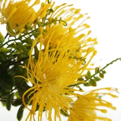 Native Yellow Pincushion Protea Flower Spray Christmas Flowers|