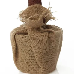 Pencil Pine Christmas Tree Table Top Christmas Trees|