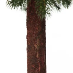 Pencil Pine Christmas Tree Table Top Christmas Trees|