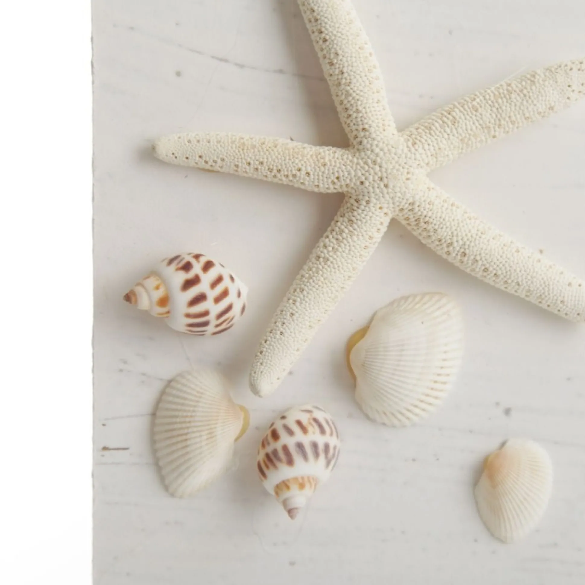 Personalised Beach Christmas Wood Plaque Christmas Plaques|