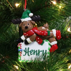 Personalised Reindeer with Plaque Decoration Personalised Decorations|