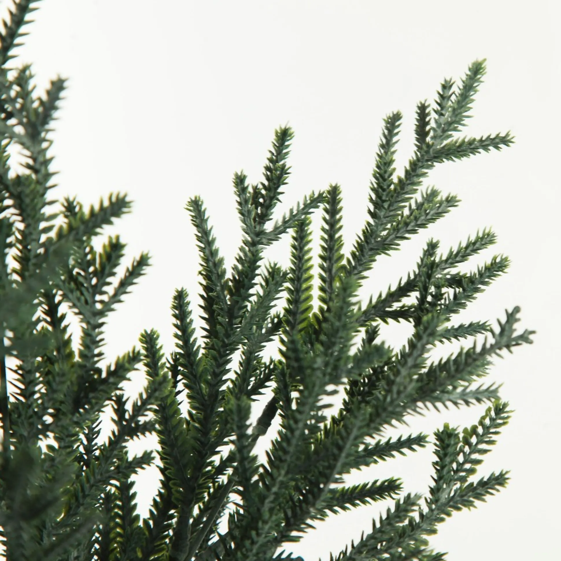 Pine Bush Spray Christmas Sprays|