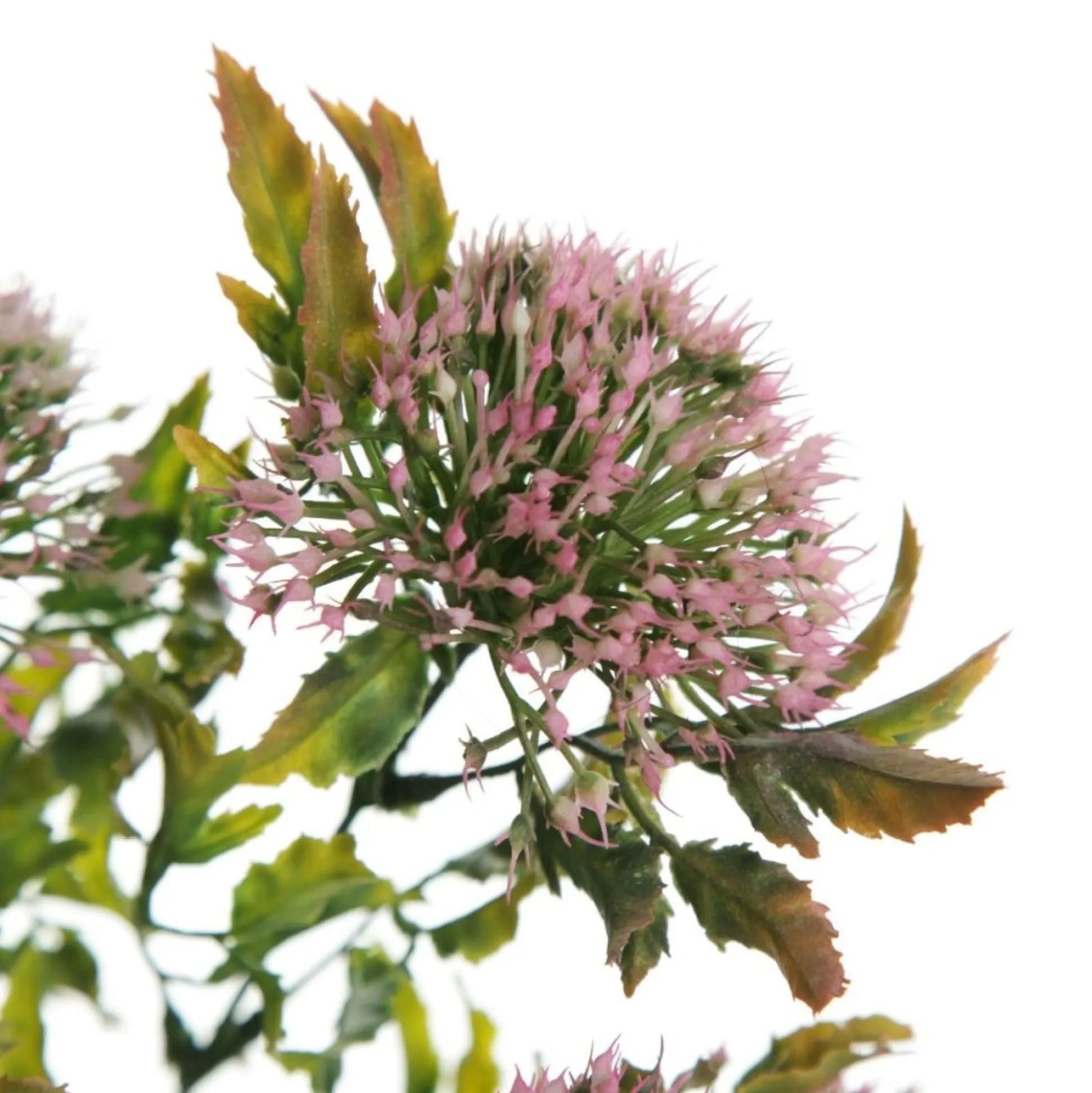 Pink Gumnut Flower Christmas Bush Spray Christmas Sprays|