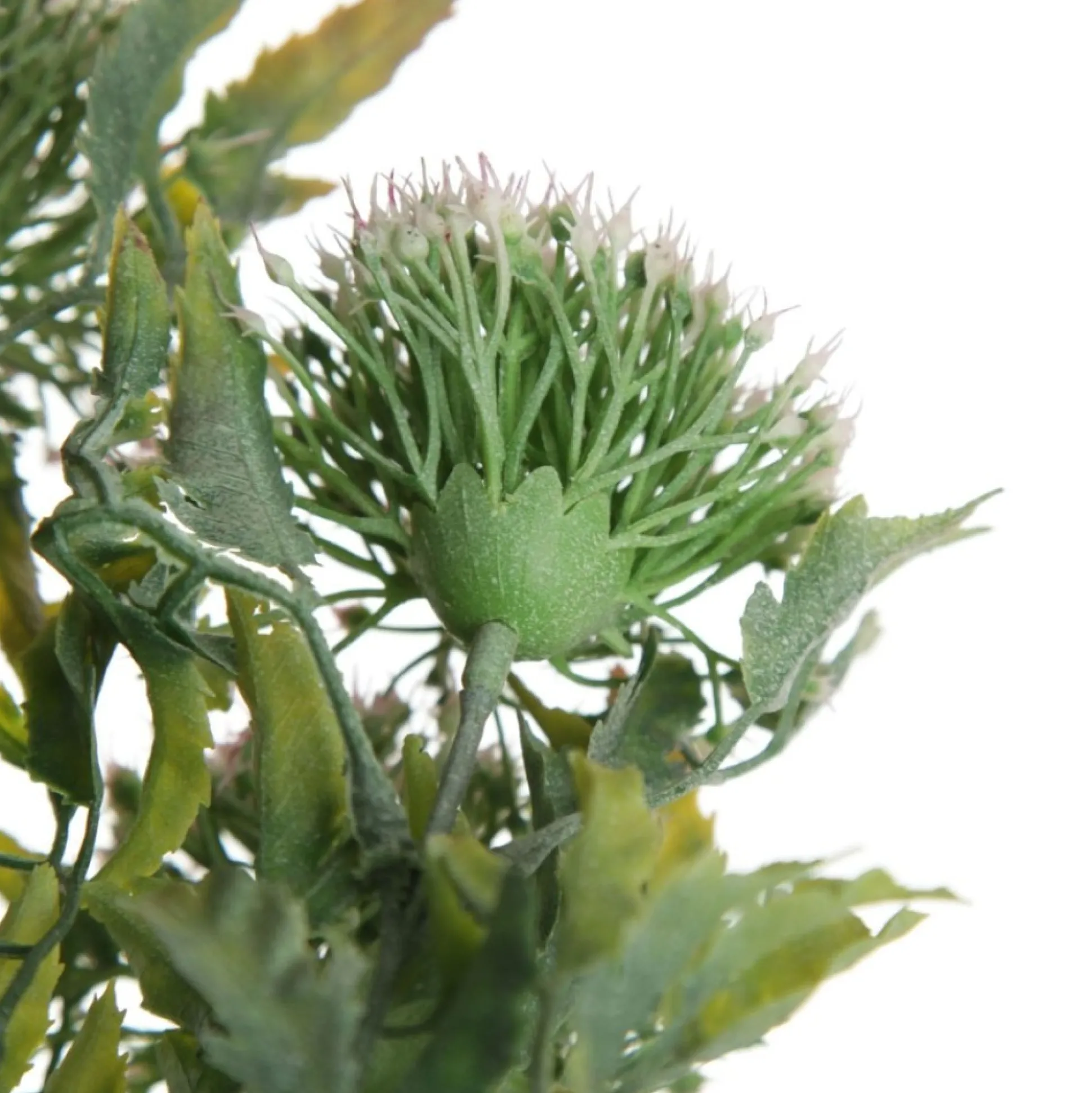 Pink Gumnut Flower Christmas Bush Spray Christmas Sprays|