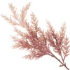 Pink Ombre Pampas Grass Spray Christmas Sprays|