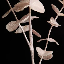 Pink Pearl Eucalyptus Dollar Gum Spray Christmas Sprays|