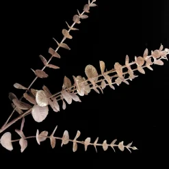 Pink Pearl Eucalyptus Dollar Gum Spray Christmas Sprays|