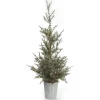 Potted Christmas Pine Tree with Snowy Top Table Top Christmas Trees|