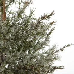Potted Christmas Pine Tree with Snowy Top Table Top Christmas Trees|