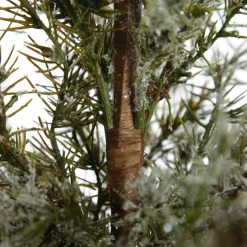 Potted Christmas Pine Tree with Snowy Top Table Top Christmas Trees|