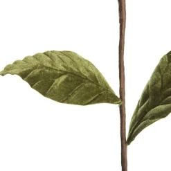 Red Magnolia Flower Stem Christmas Flowers|