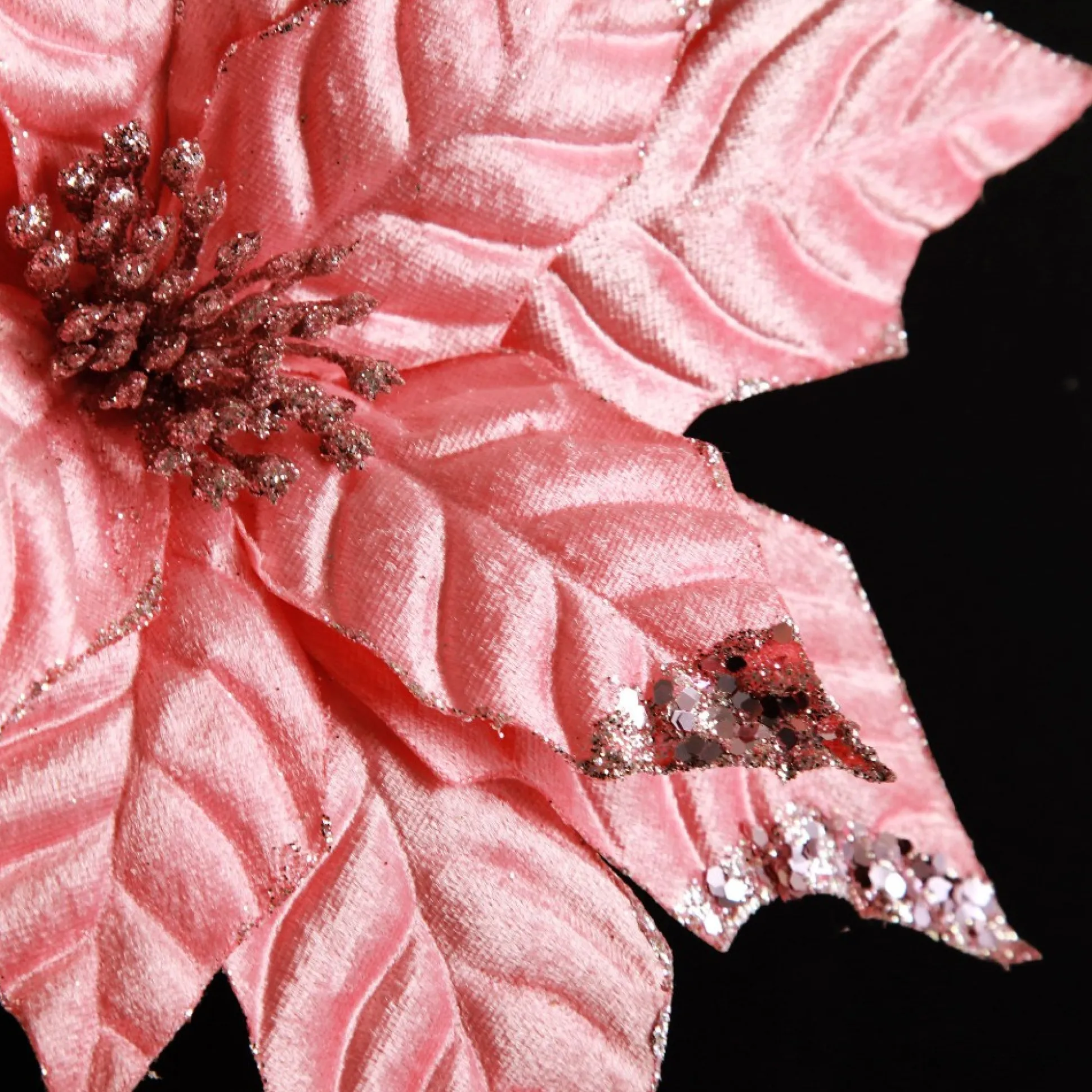 Shiny Blush Poinsettia Flower Stem Christmas Flowers|