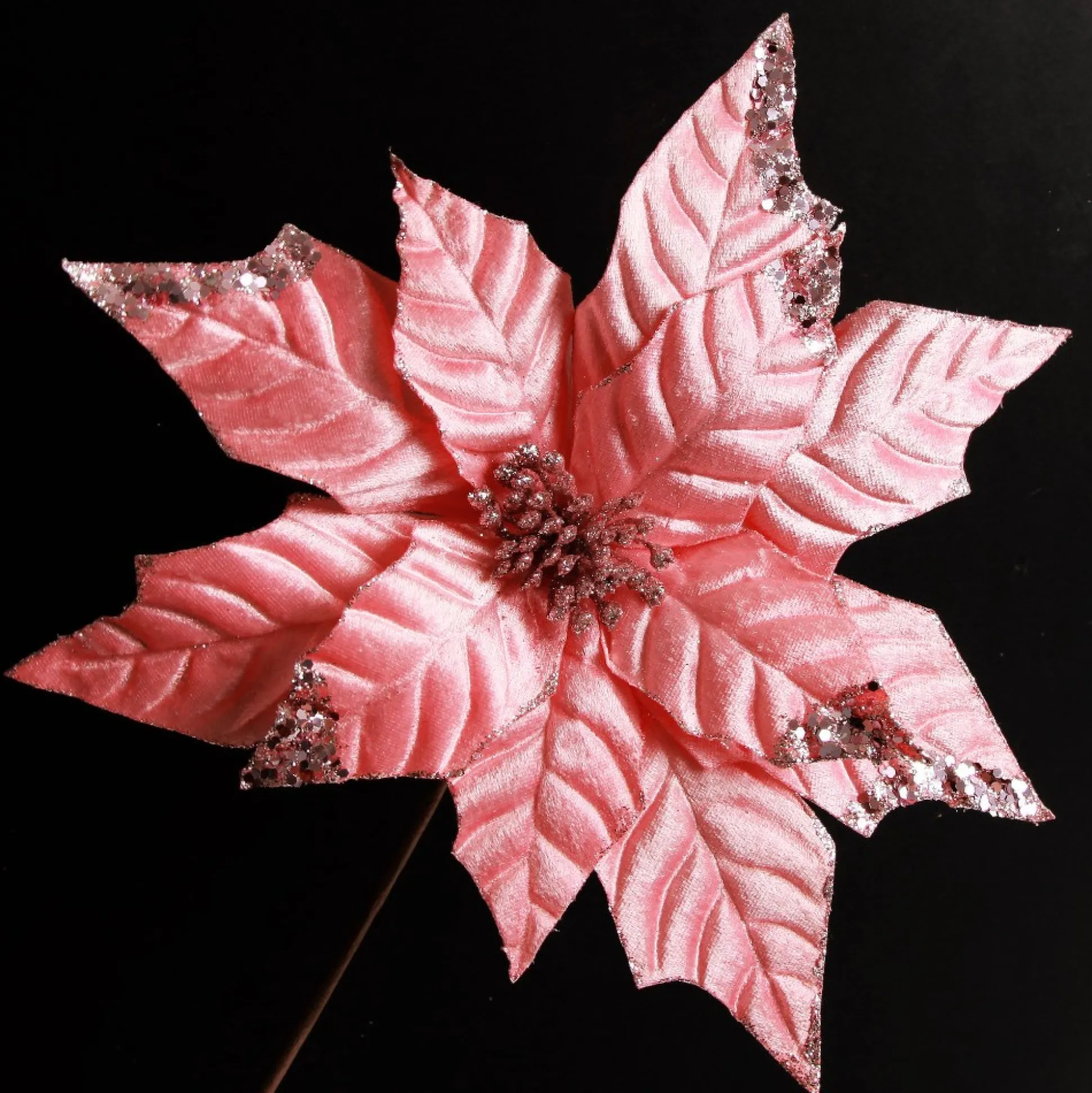 Shiny Blush Poinsettia Flower Stem Christmas Flowers|