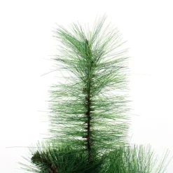 Small Evergreen Table Top Christmas Tree Table Top Christmas Trees|