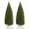 Small Green Sisal Tree - Set of 2 Table Top Christmas Trees|