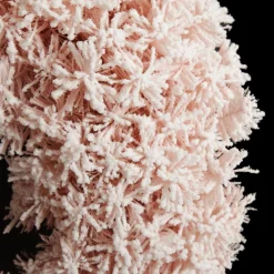 Snow Flocked Pink Fir Christmas Wreath Christmas Wreaths|