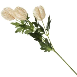 Triple Head Cream Banksia Spray Christmas Flowers|