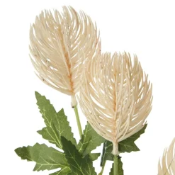 Triple Head Cream Banksia Spray Christmas Flowers|