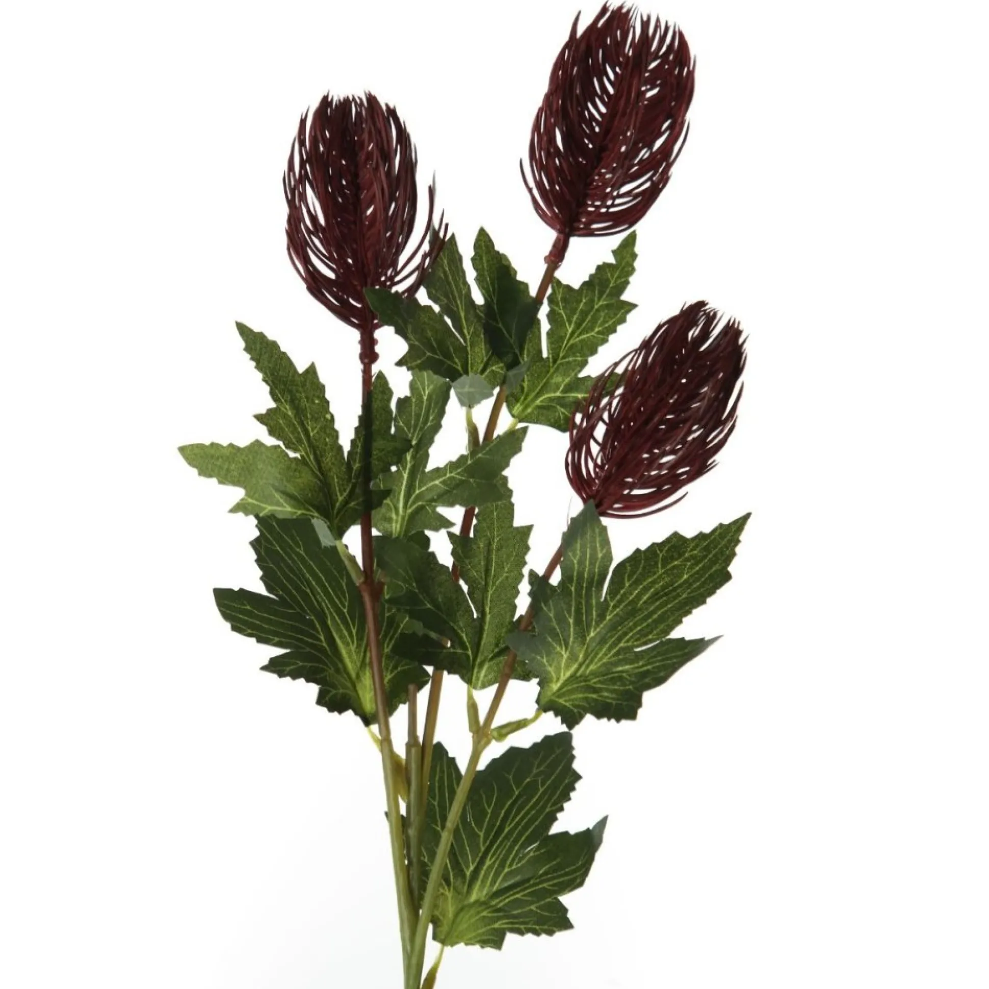 Triple Head Red Banksia Spray Christmas Flowers|