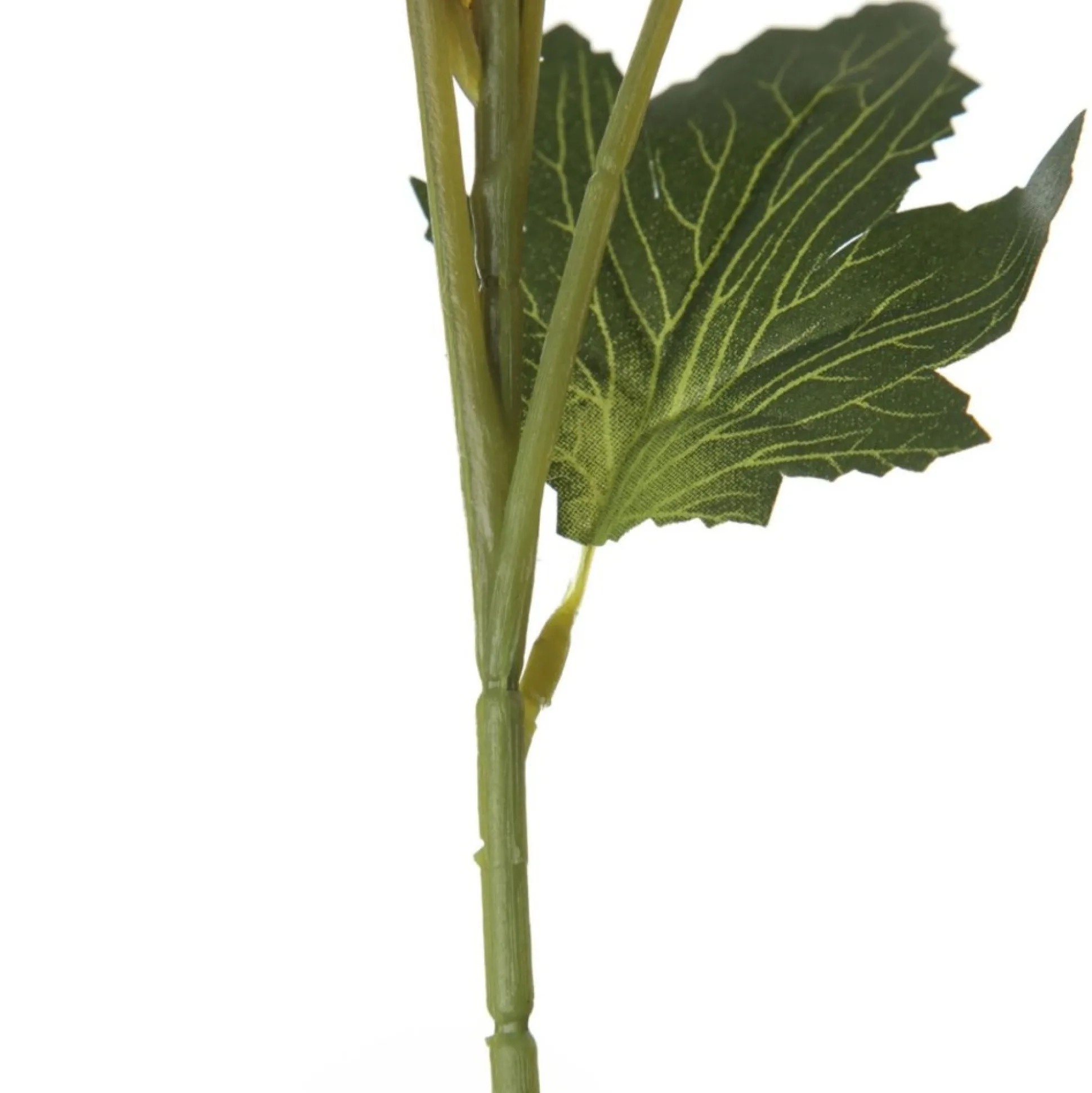 Triple Head Red Banksia Spray Christmas Flowers|