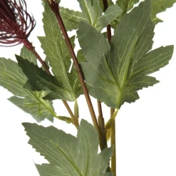 Triple Head Red Banksia Spray Christmas Flowers|