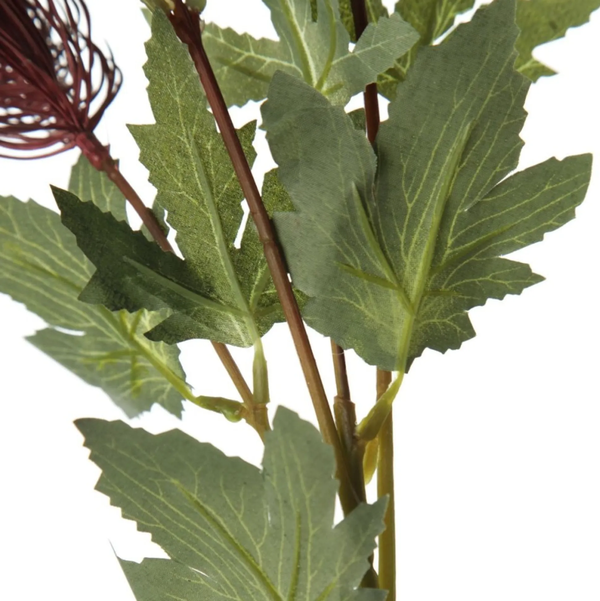 Triple Head Red Banksia Spray Christmas Flowers|