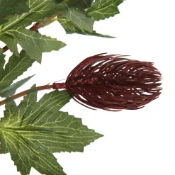 Triple Head Red Banksia Spray Christmas Flowers|