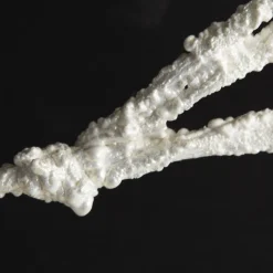 Twig Branch Pearl White Christmas Sprays|