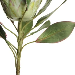 White King Protea Flower Stem Christmas Flowers|