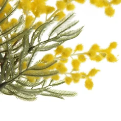 Yellow Wattle Stem Spray Christmas Sprays|